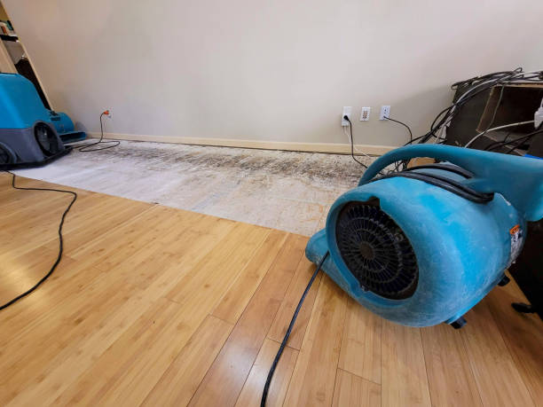 Professional Basement Flood Cleanup technician working in Middletown, CA